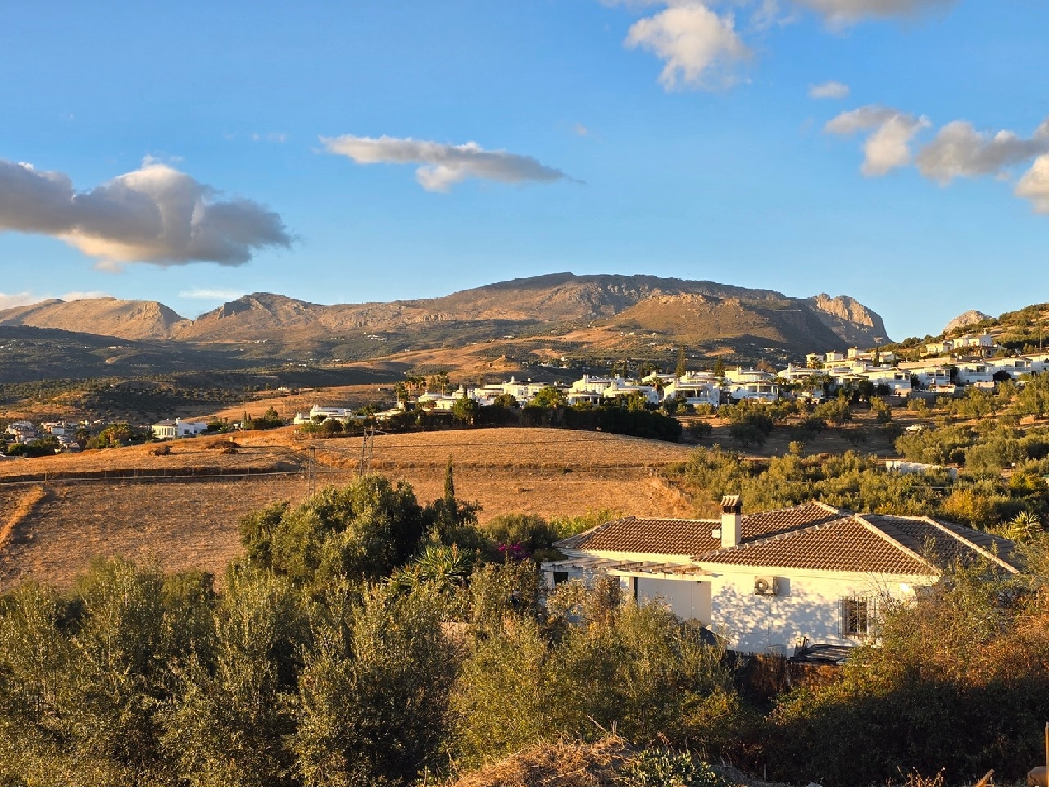 te koop villa Alcaucín Axarquía 4