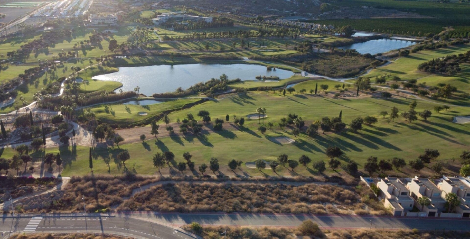  till salu villa Algorfa Baix Segura 8