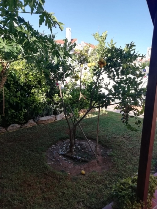 Almerimar Poniente Almeriense Villa Bild 6305500