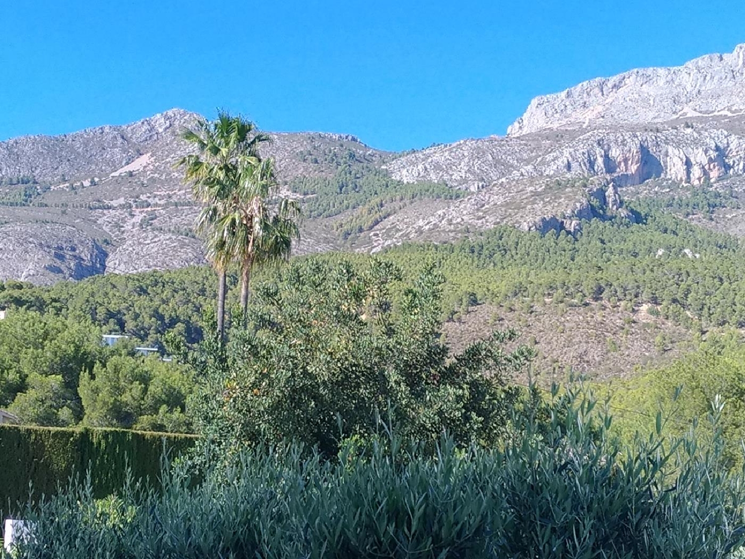  kaufen Villa Altea Marina Baixa 7