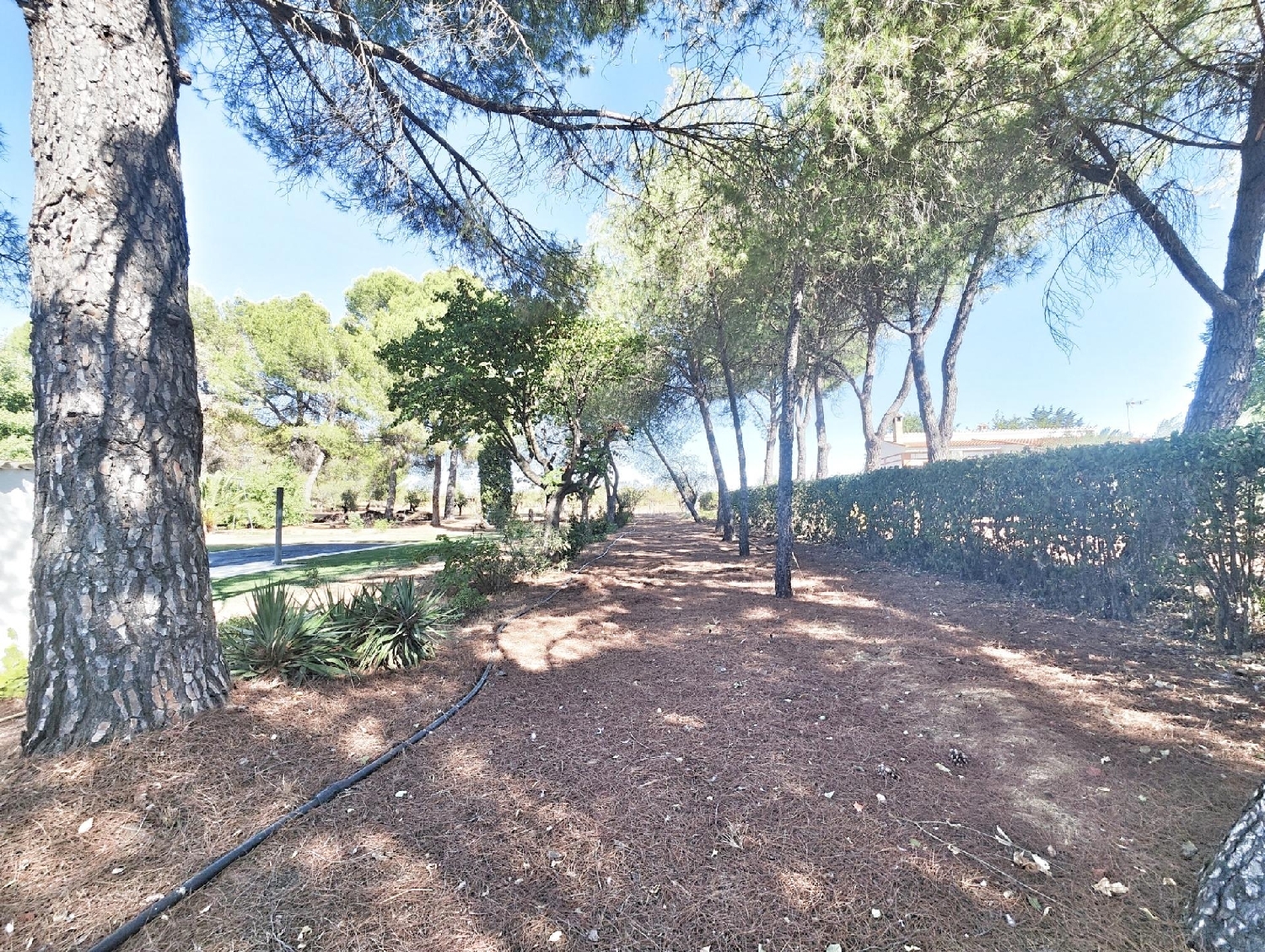  en venta chalet Argamasilla De Calatrava Campo De Calatrava 2