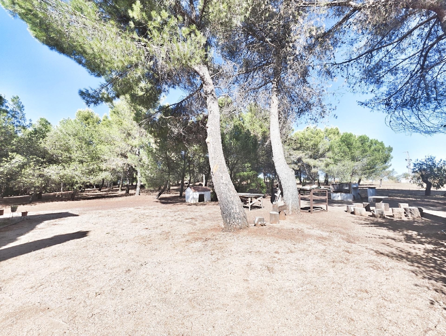  en venta chalet Argamasilla De Calatrava Campo De Calatrava 3