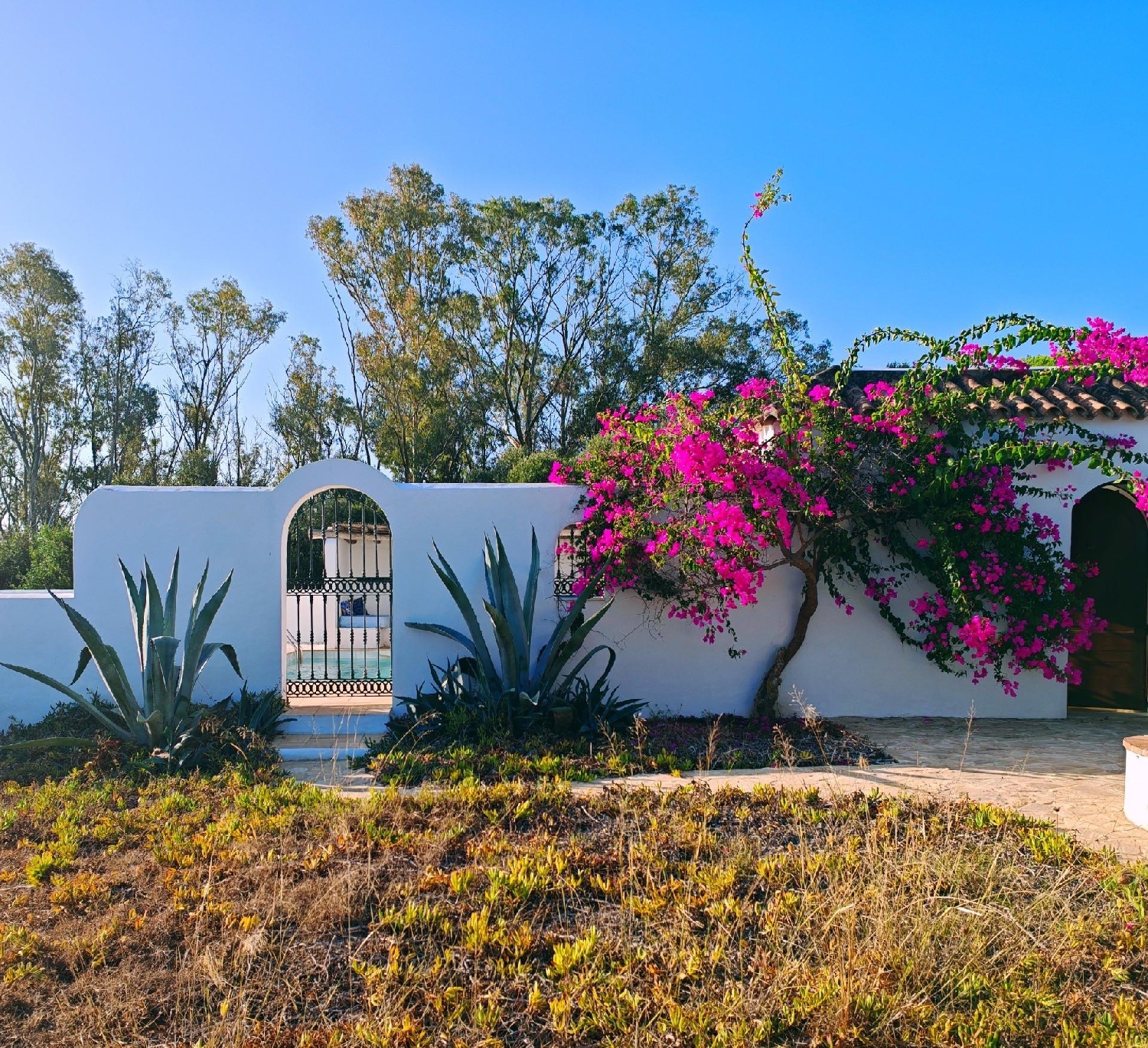  en venta chalet Barbate Janda (La) 8