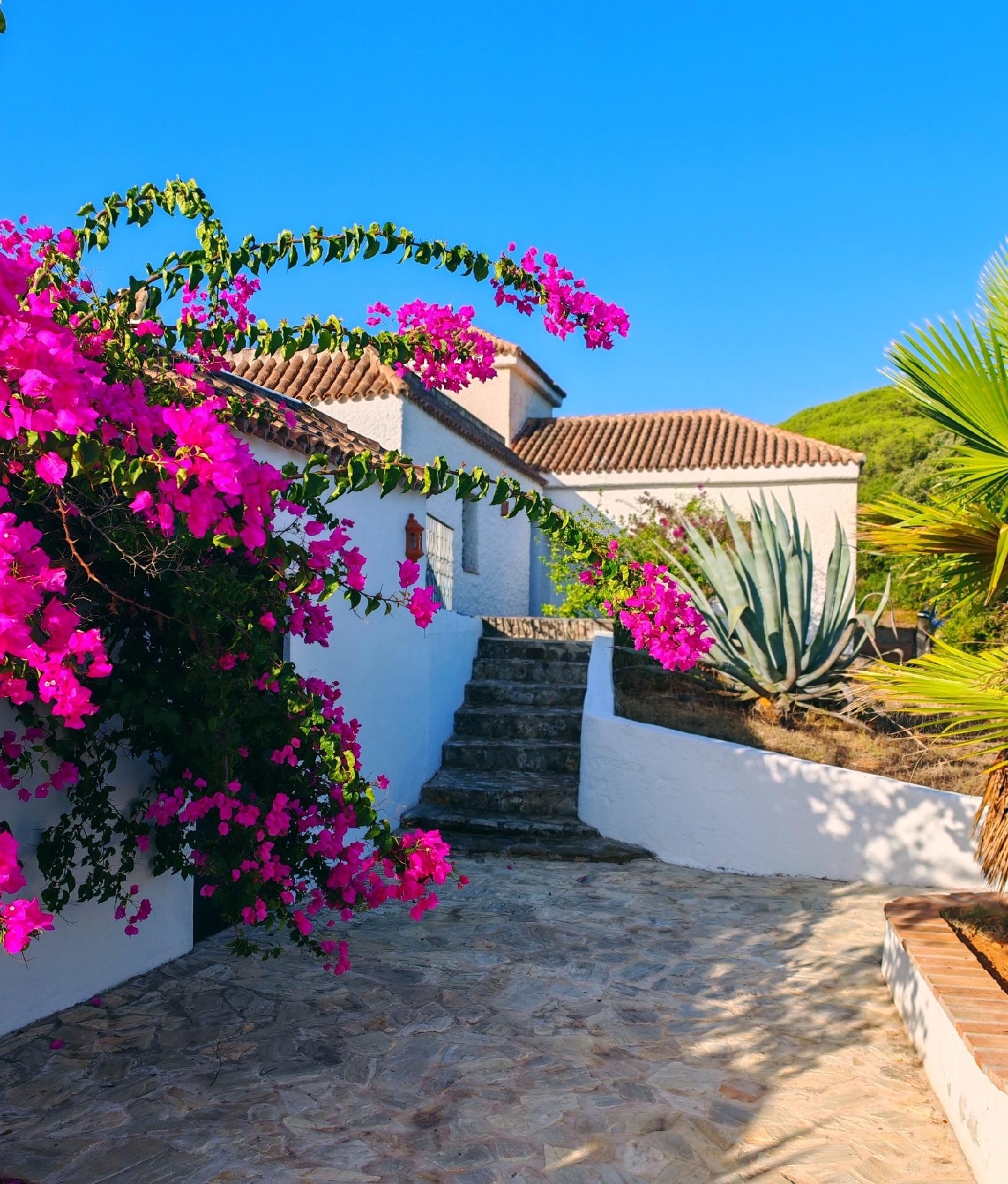  en venta chalet Barbate Janda (La) 7
