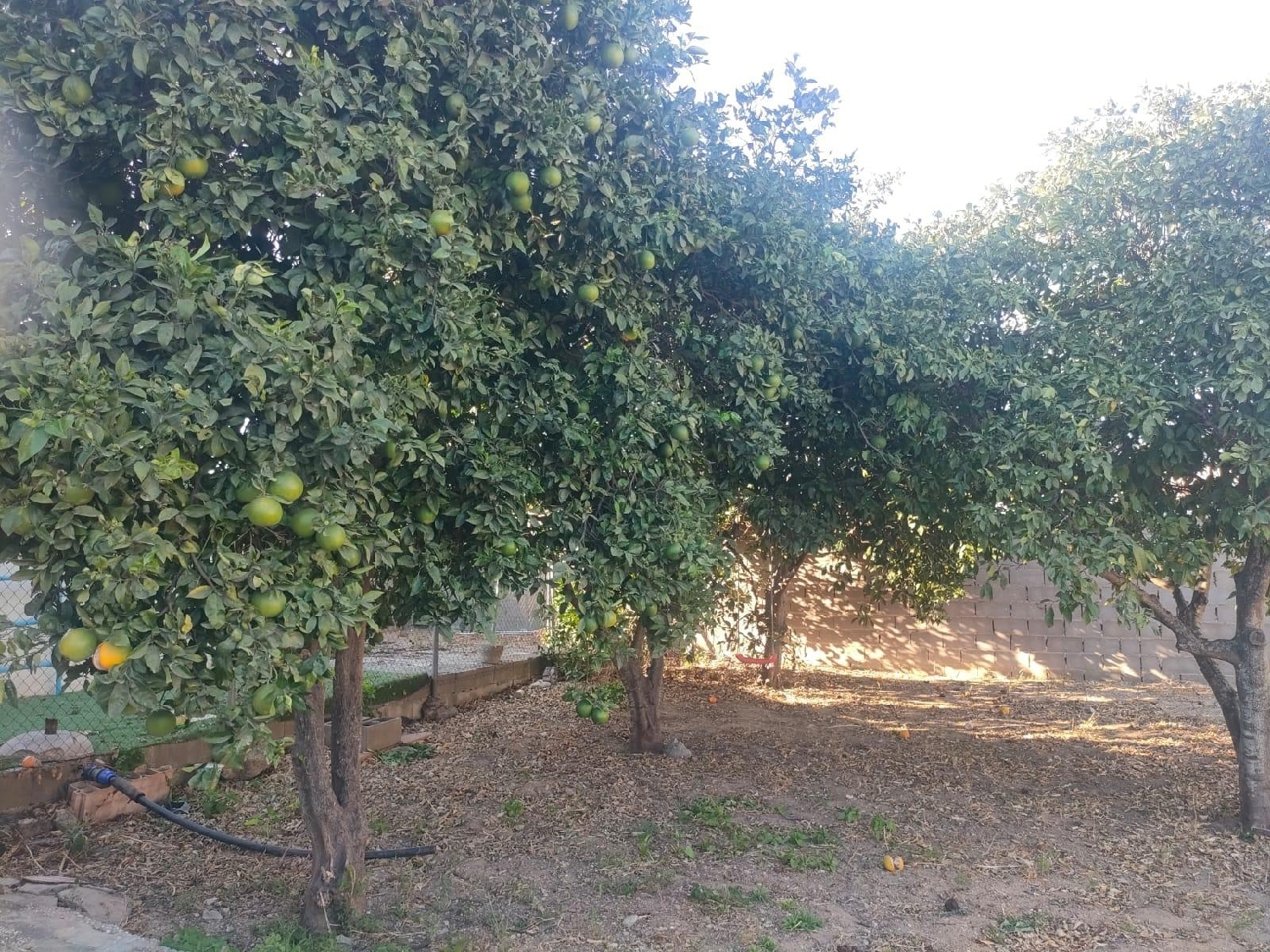  te koop villa Chiclana De La Frontera Bahía De Cádiz 5