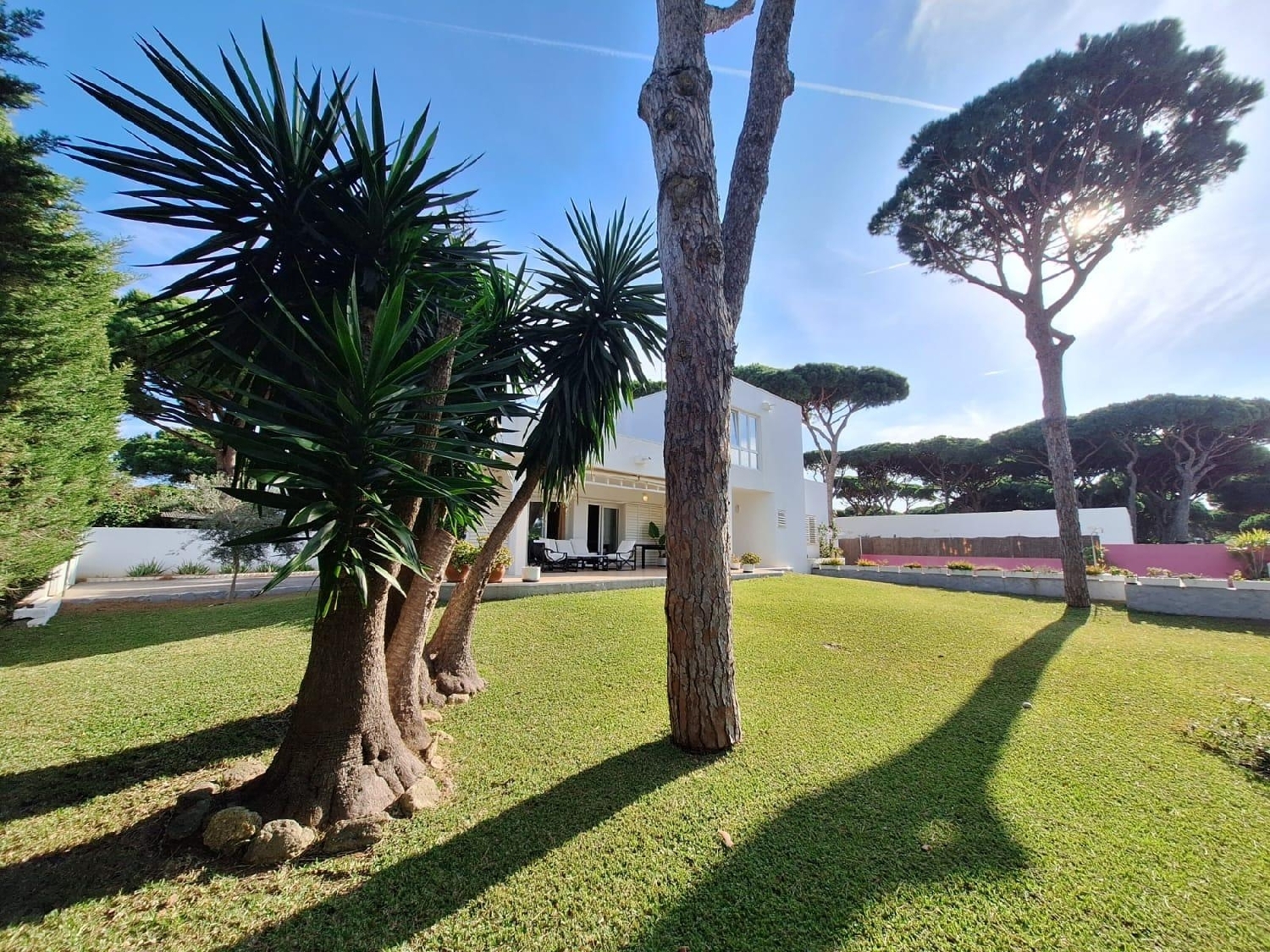 kaufen Villa Conil De La Frontera Janda (La) 7