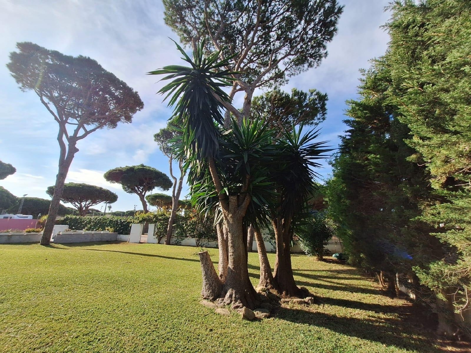 kaufen Villa Conil De La Frontera Janda (La) 8