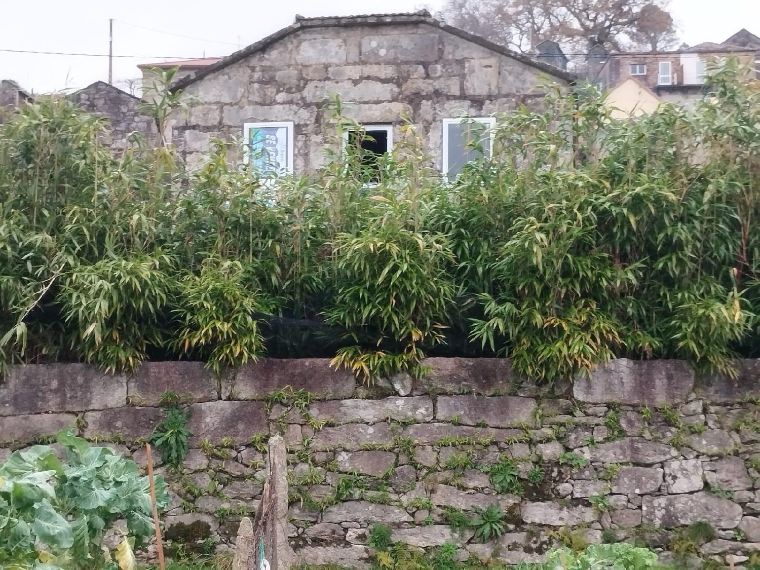  kaufen Villa Covelos Eume 1