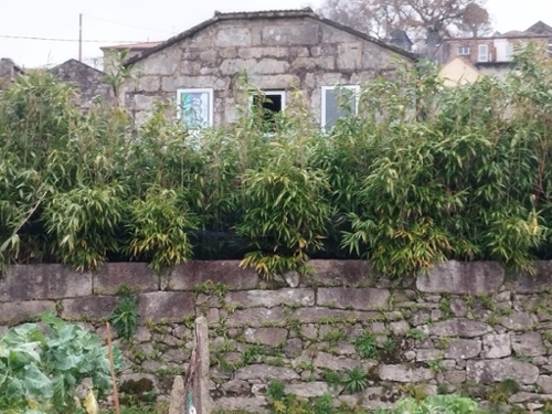 Covelos Eume Villa Bild 6319147