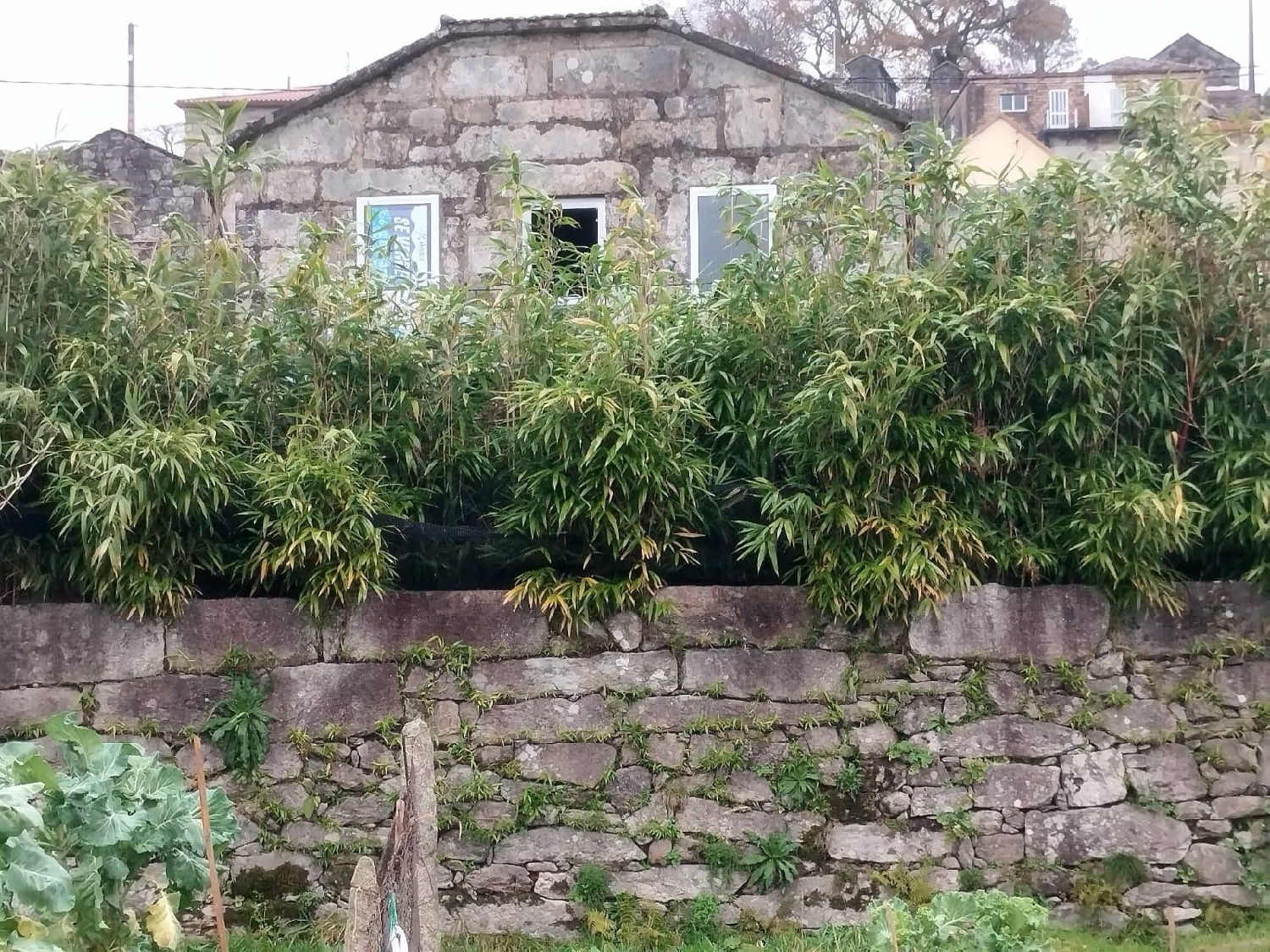  kaufen Villa Covelos Eume 7