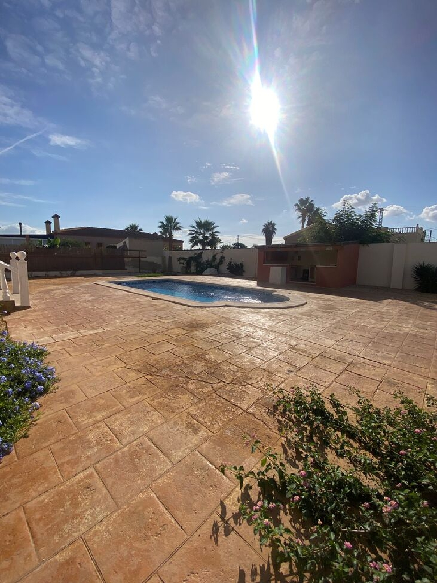 à vendre villa Crevillent Baix Vinalopó 4