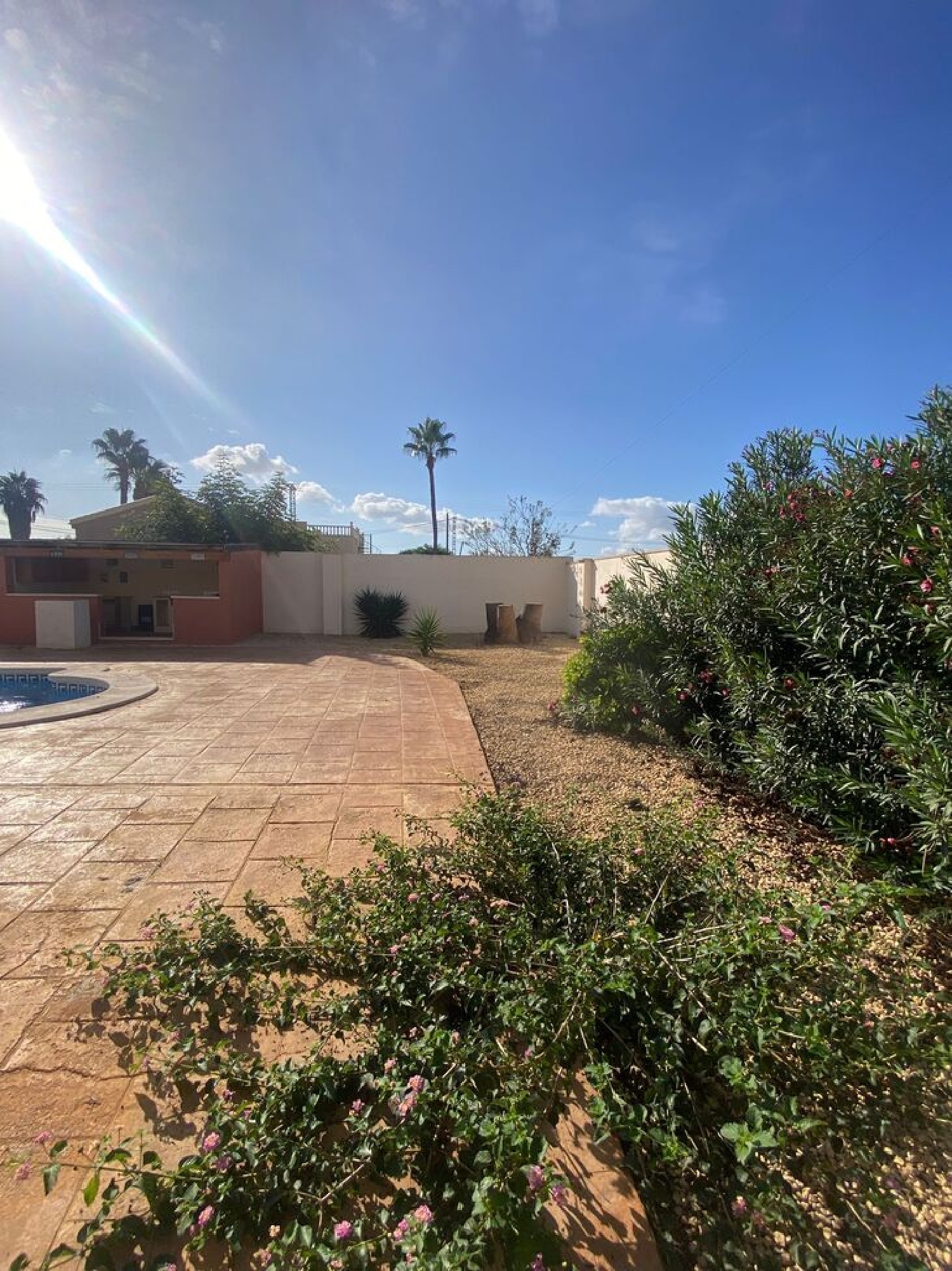  à vendre villa Crevillent Baix Vinalopó 8