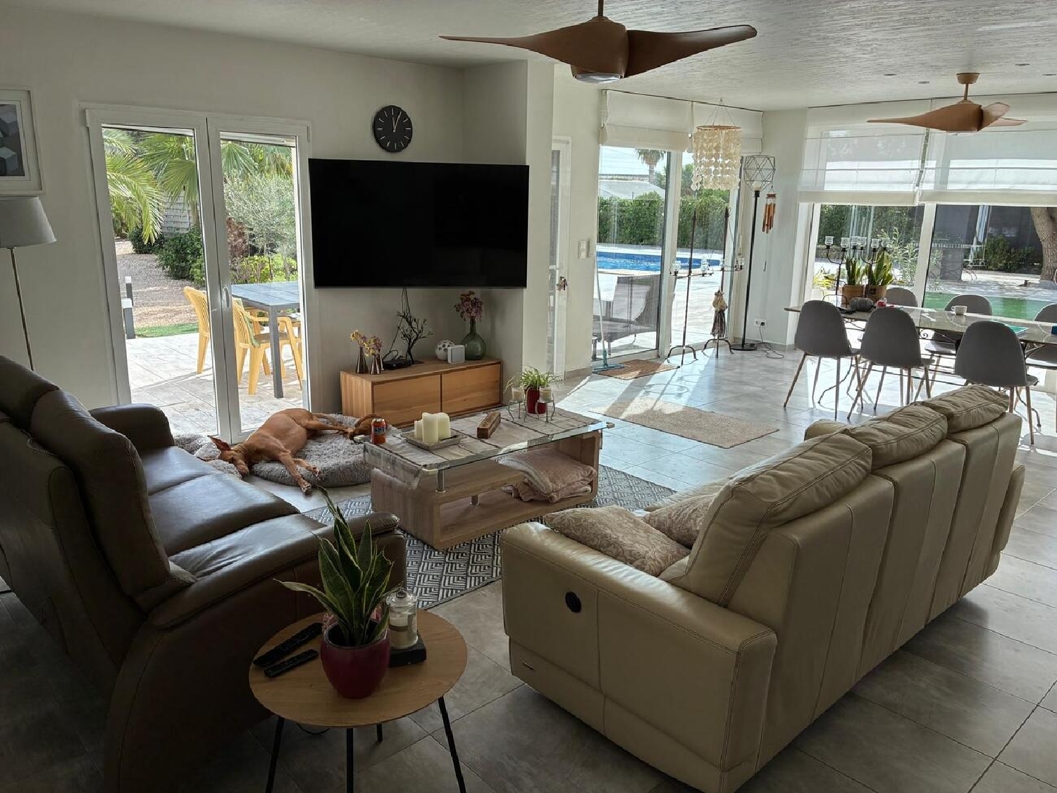 kaufen Villa Crevillent Baix Vinalopó 7