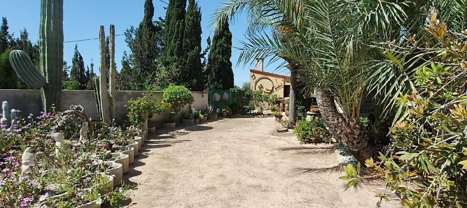 kaufen Villa Crevillent Baix Vinalopó 6