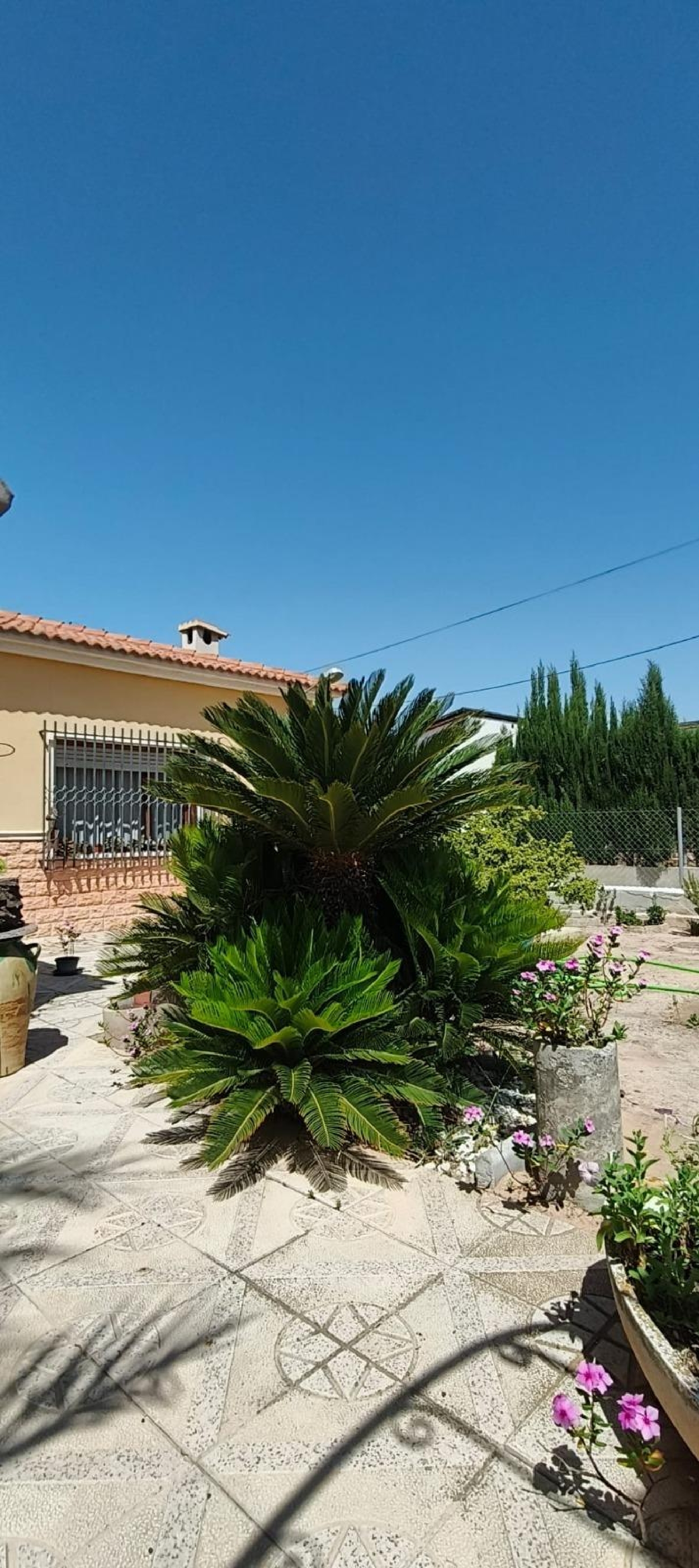 kaufen Villa Crevillent Baix Vinalopó 4