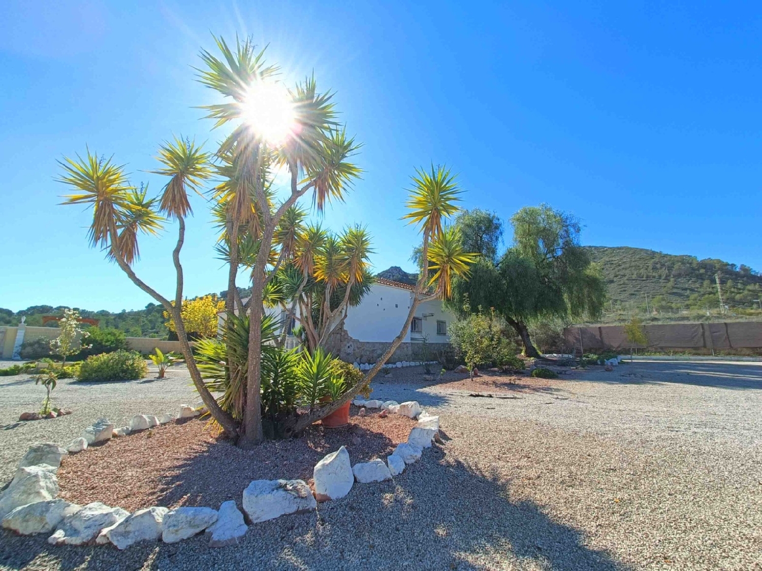 à vendre villa Hondón De Los Frailes Vinalopó Mitjà 19