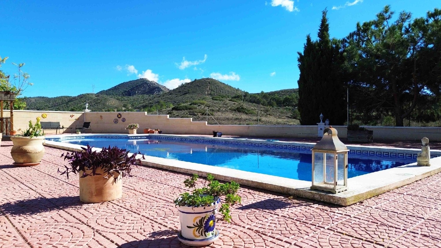 à vendre villa Hondón De Los Frailes Vinalopó Mitjà 9