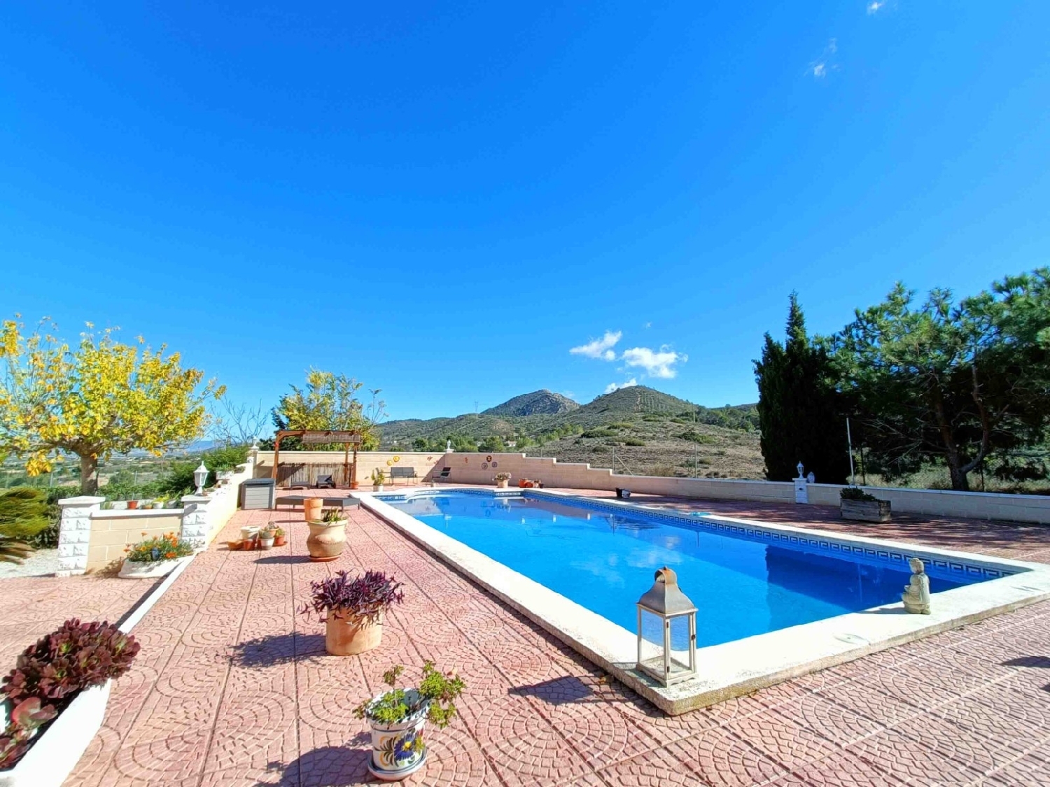 à vendre villa Hondón De Los Frailes Vinalopó Mitjà 8