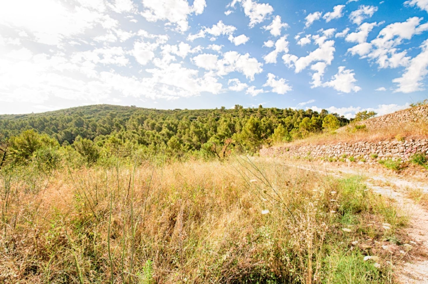  te koop villa Madrid Valle Del Almanzora 15