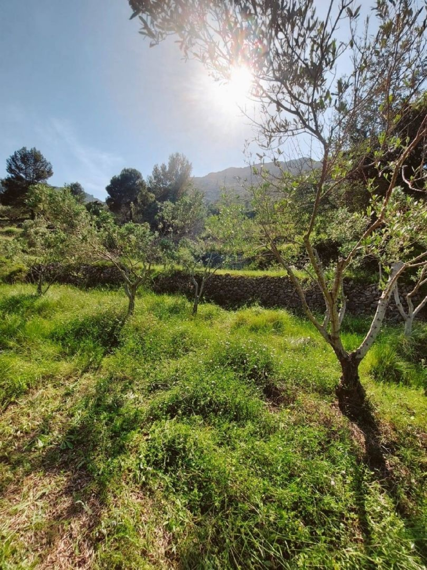  te koop villa Madrid Valle Del Almanzora 18