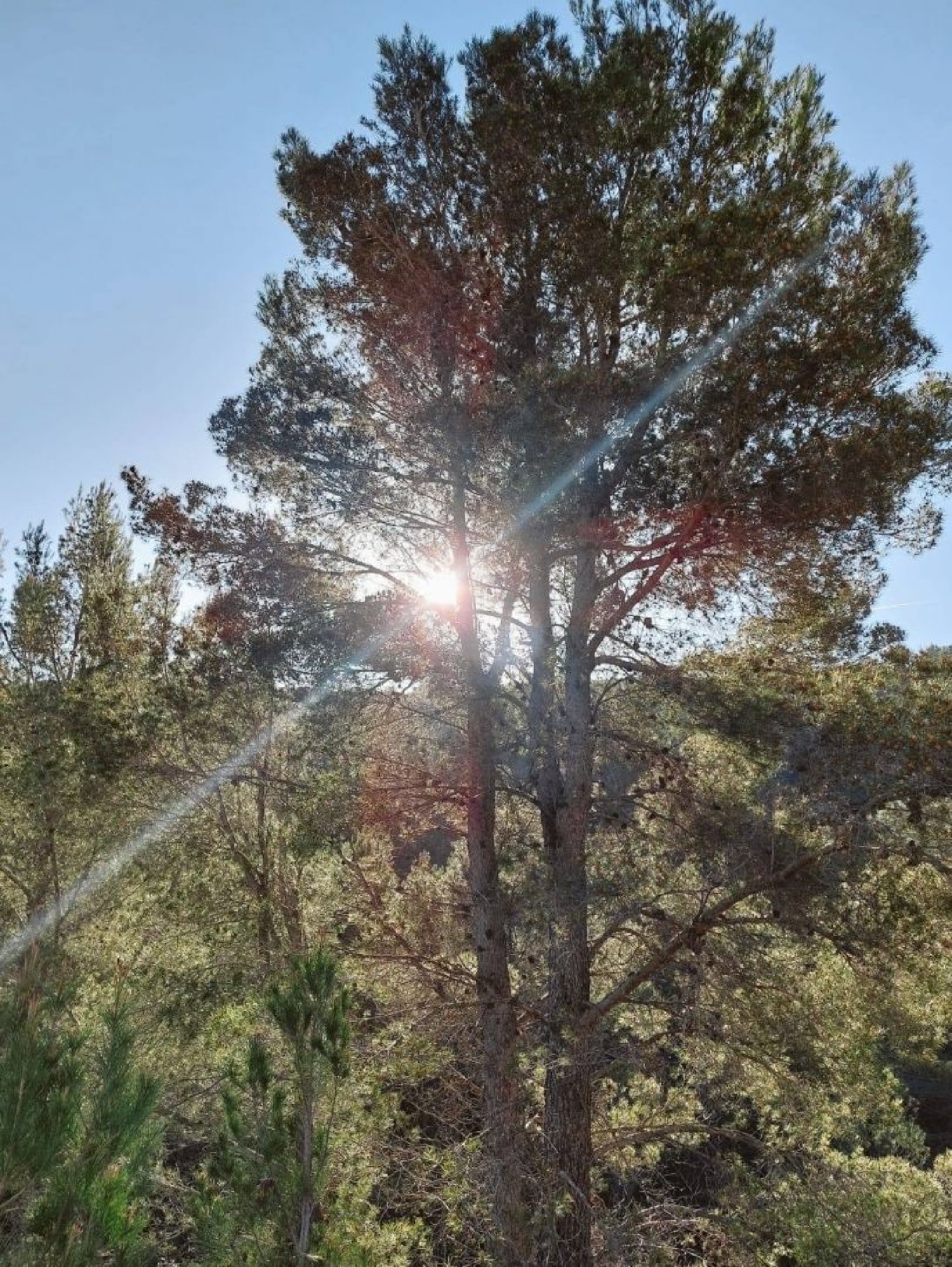  te koop villa Madrid Valle Del Almanzora 22