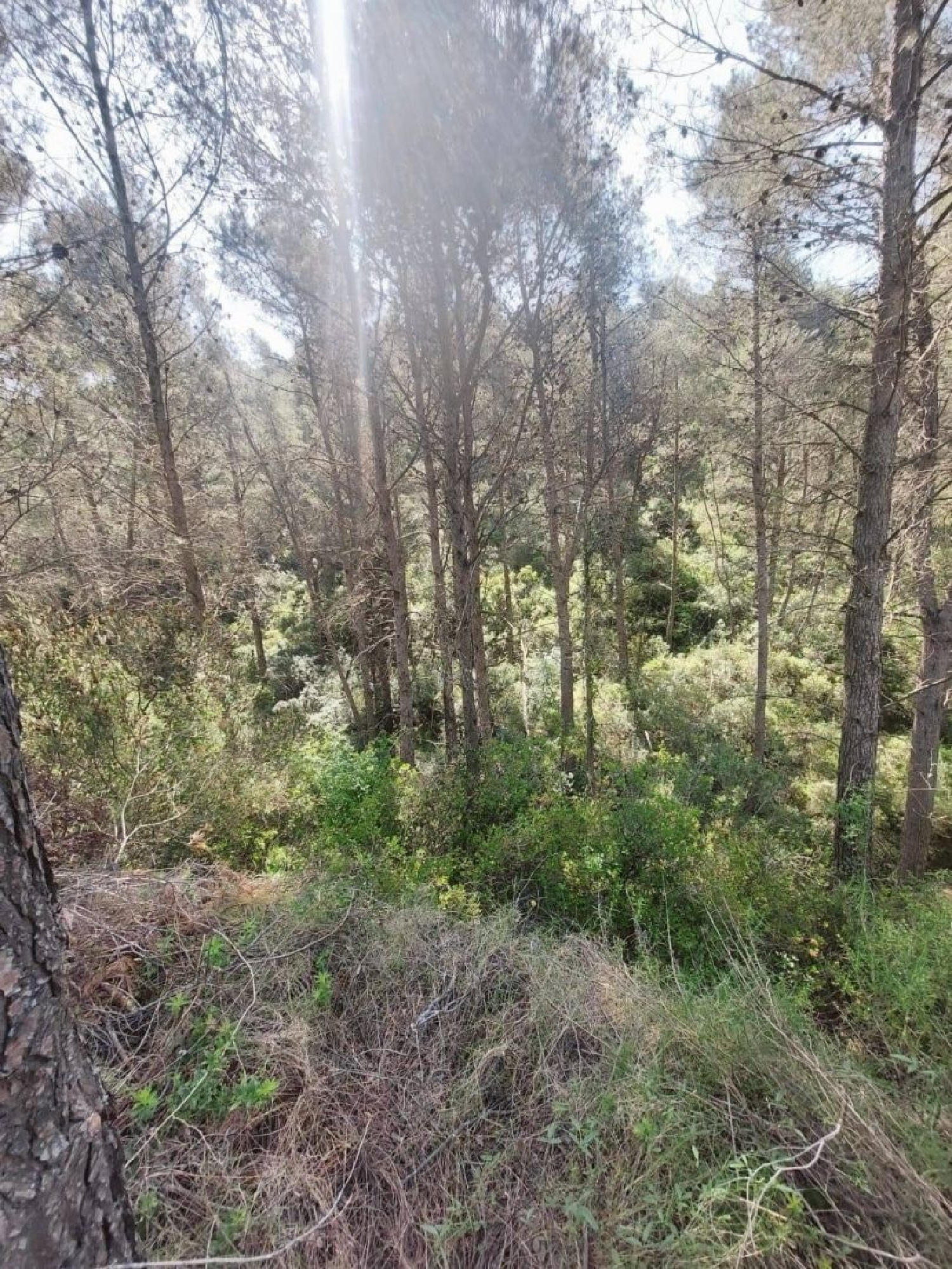  te koop villa Madrid Valle Del Almanzora 21