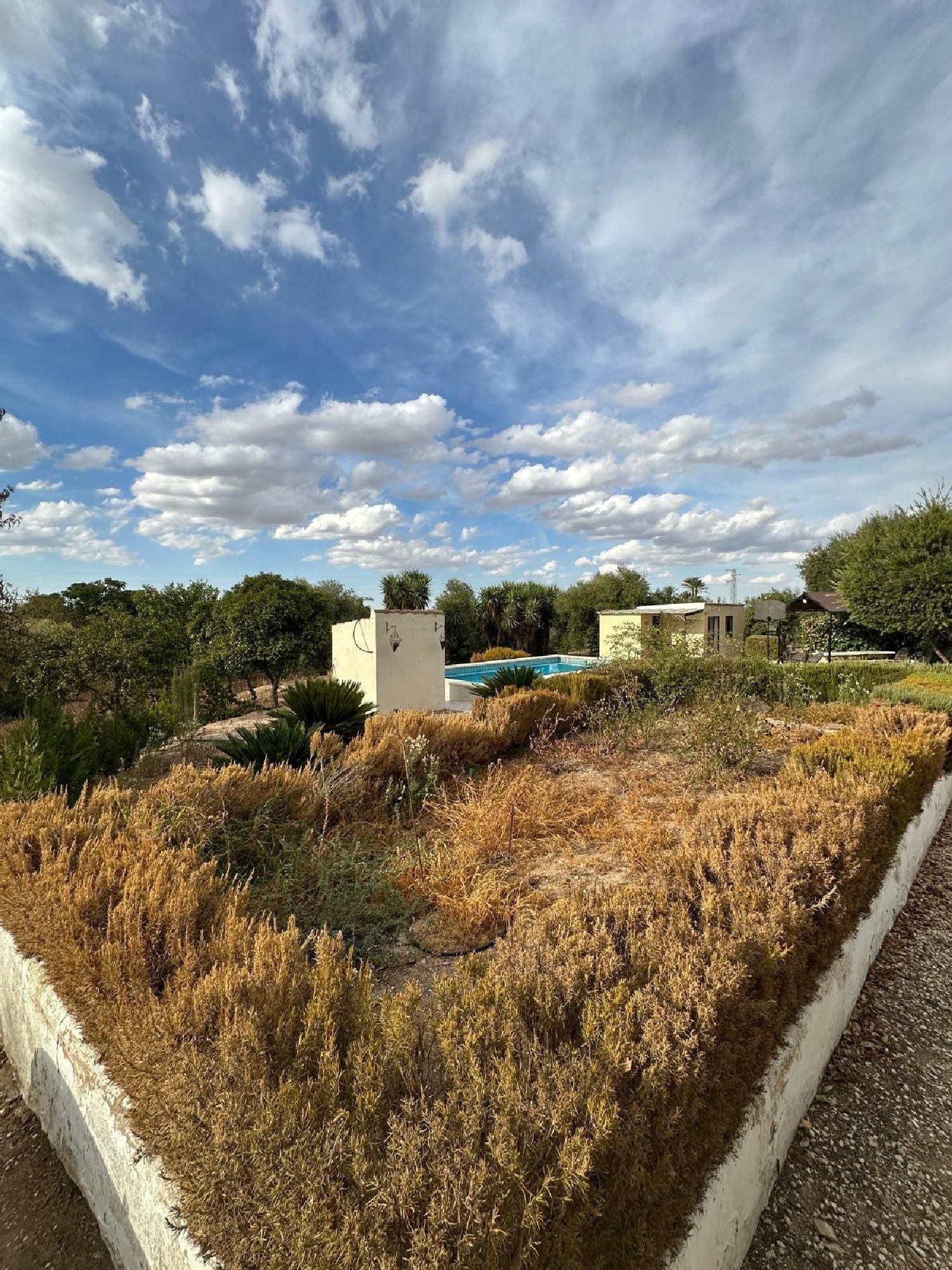 till salu villa Marchena Campiña De Morón Y Marchena 2