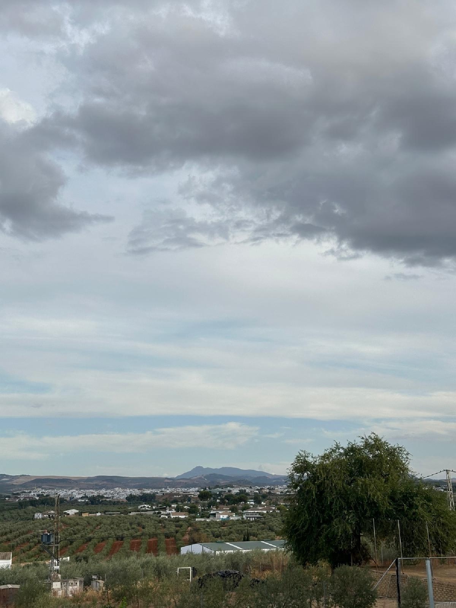 till salu villa Marchena Campiña De Morón Y Marchena 8