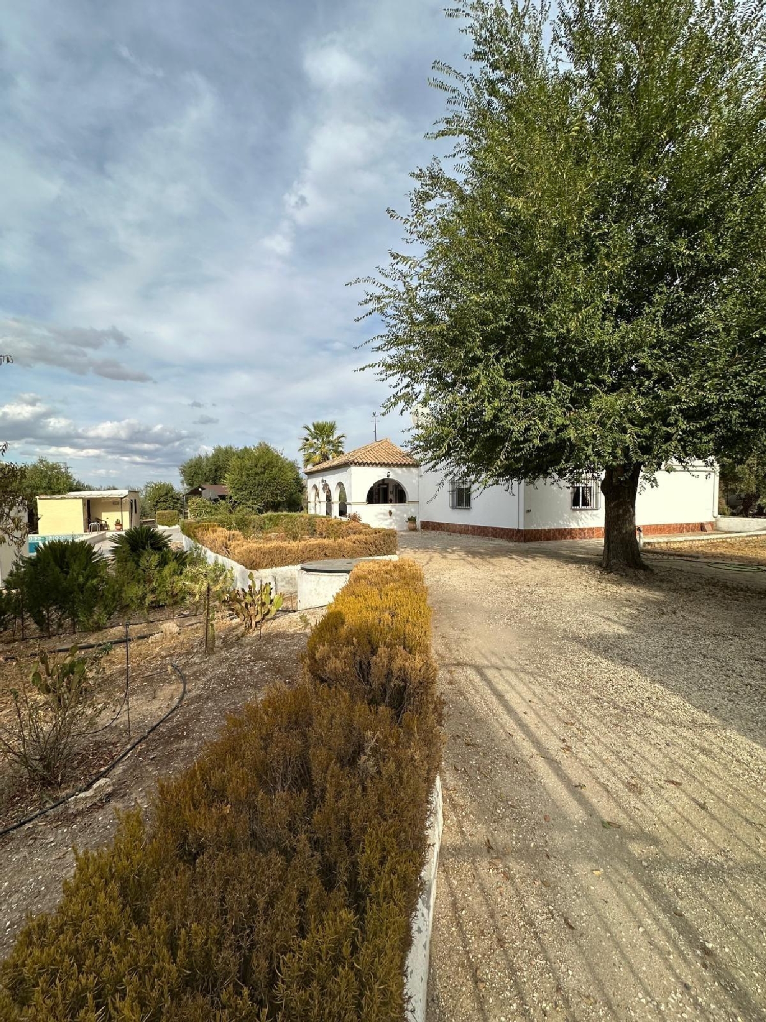 till salu villa Marchena Campiña De Morón Y Marchena 3