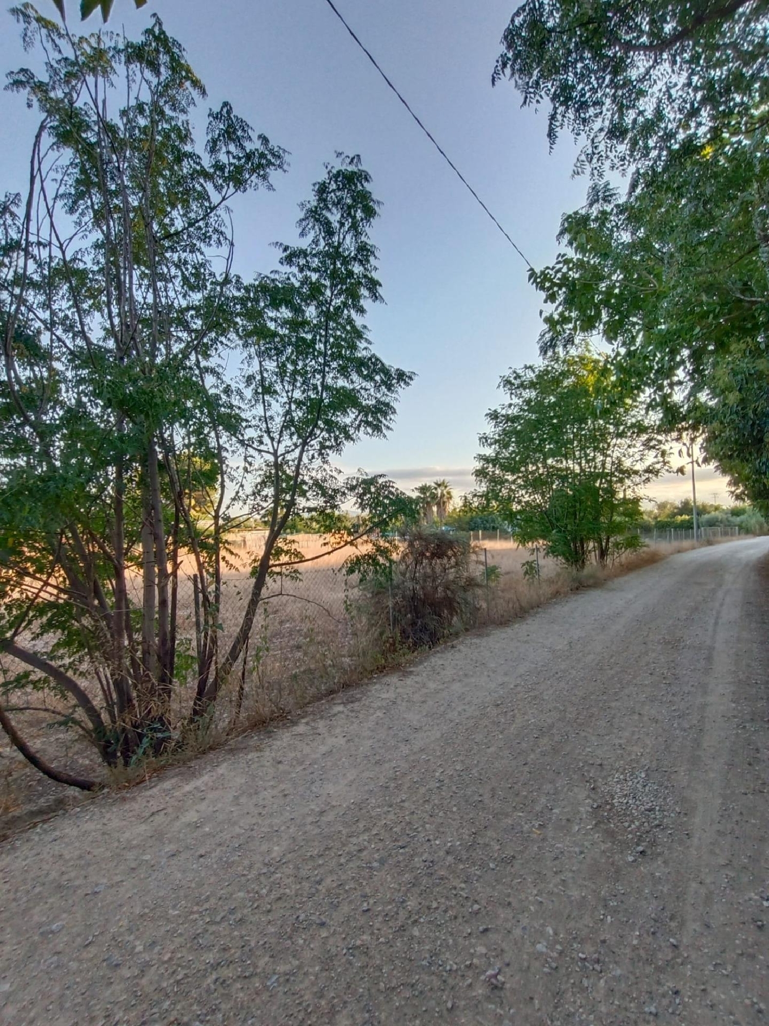  à vendre villa Molina De Segura Vega Media Del Segura 4
