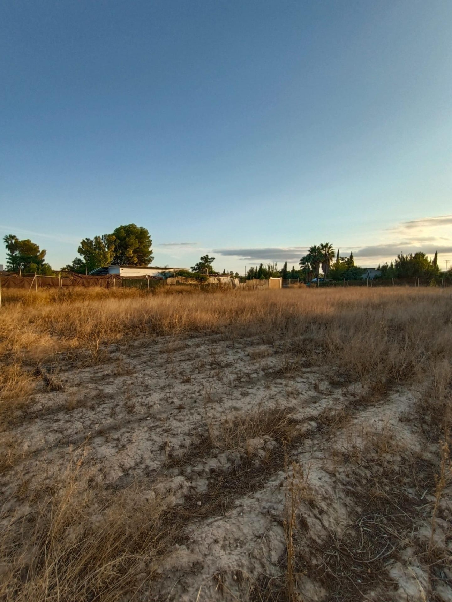  à vendre villa Molina De Segura Vega Media Del Segura 3