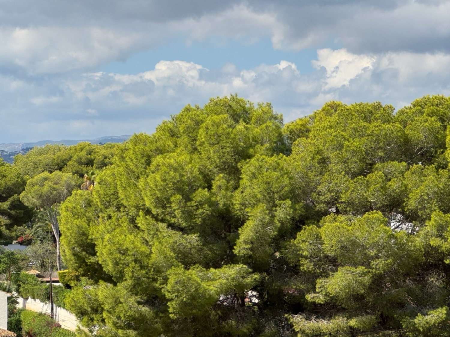  till salu villa Moraira Marina Alta 13