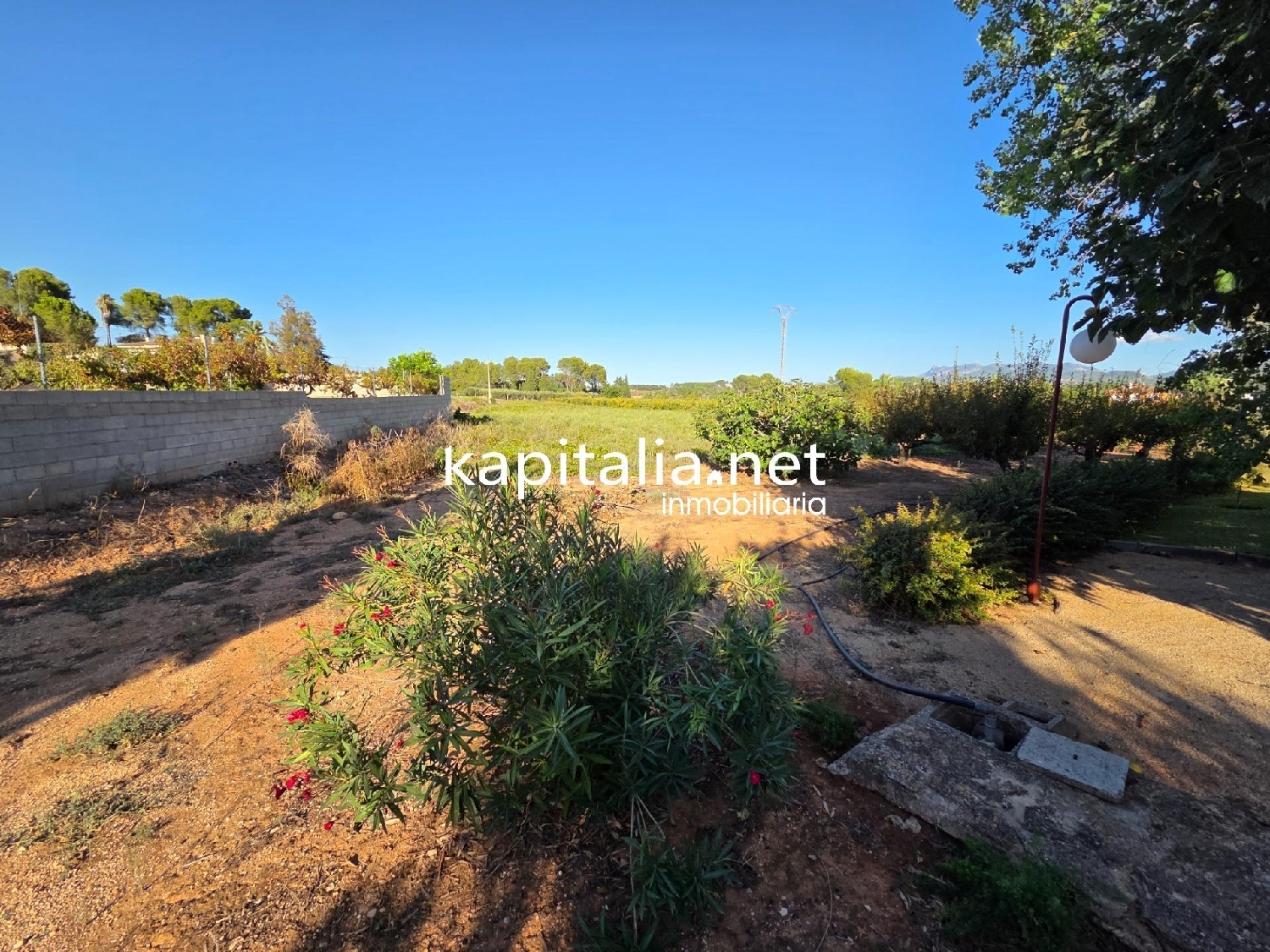  à vendre villa Ontinyent Vall D'albaida 6