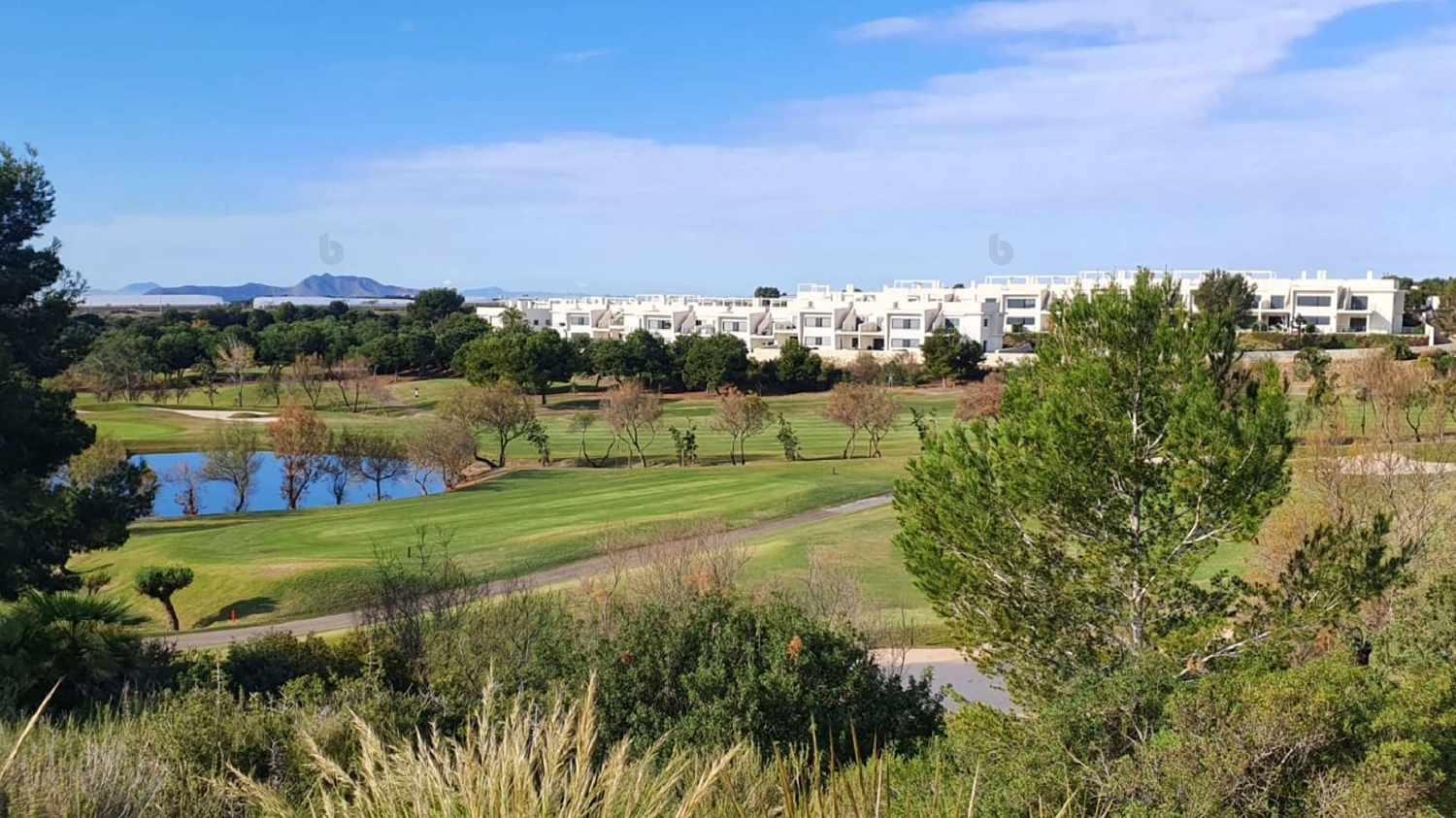  en venta chalet Pilar De La Horadada Baix Segura 2