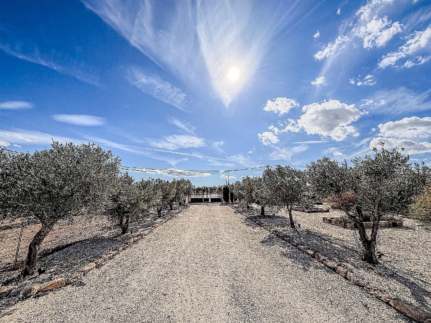 till salu villa Pinoso Vinalopó Mitjà 20