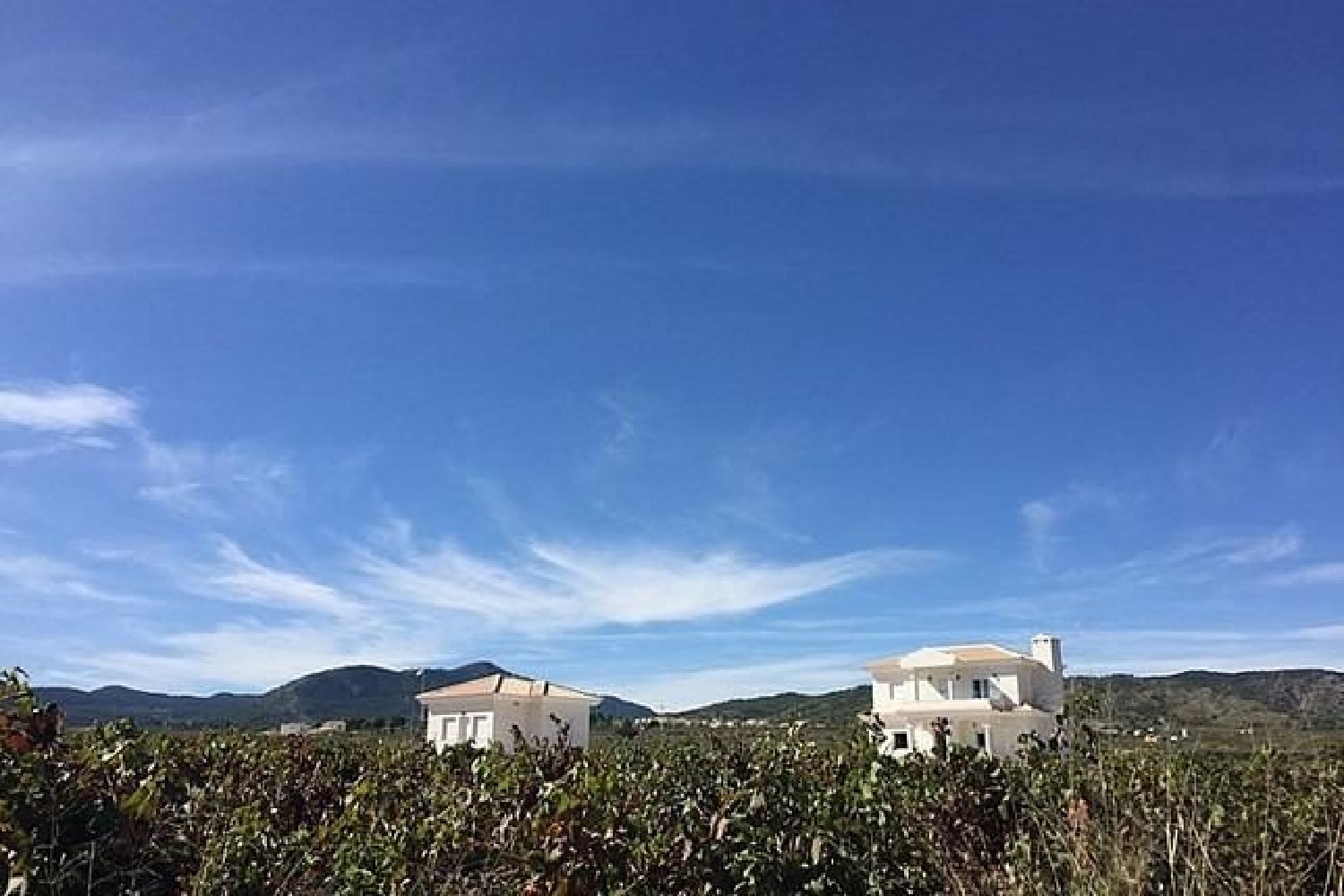  à vendre villa Pinoso Vinalopó Mitjà 22
