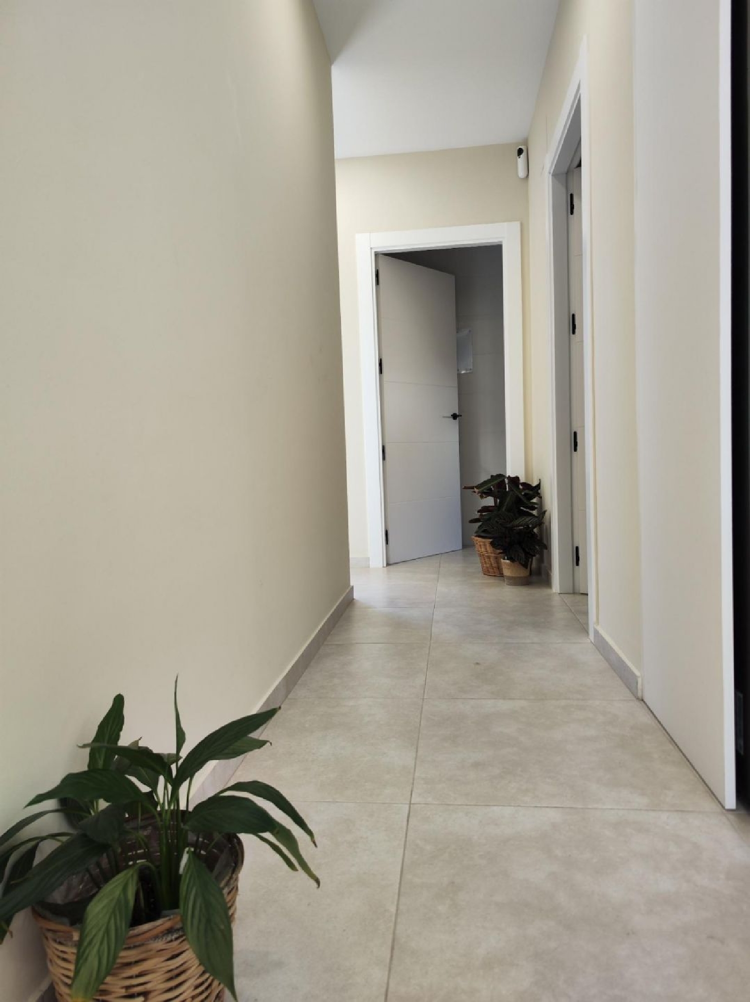  à vendre villa Pinoso Vinalopó Mitjà 12
