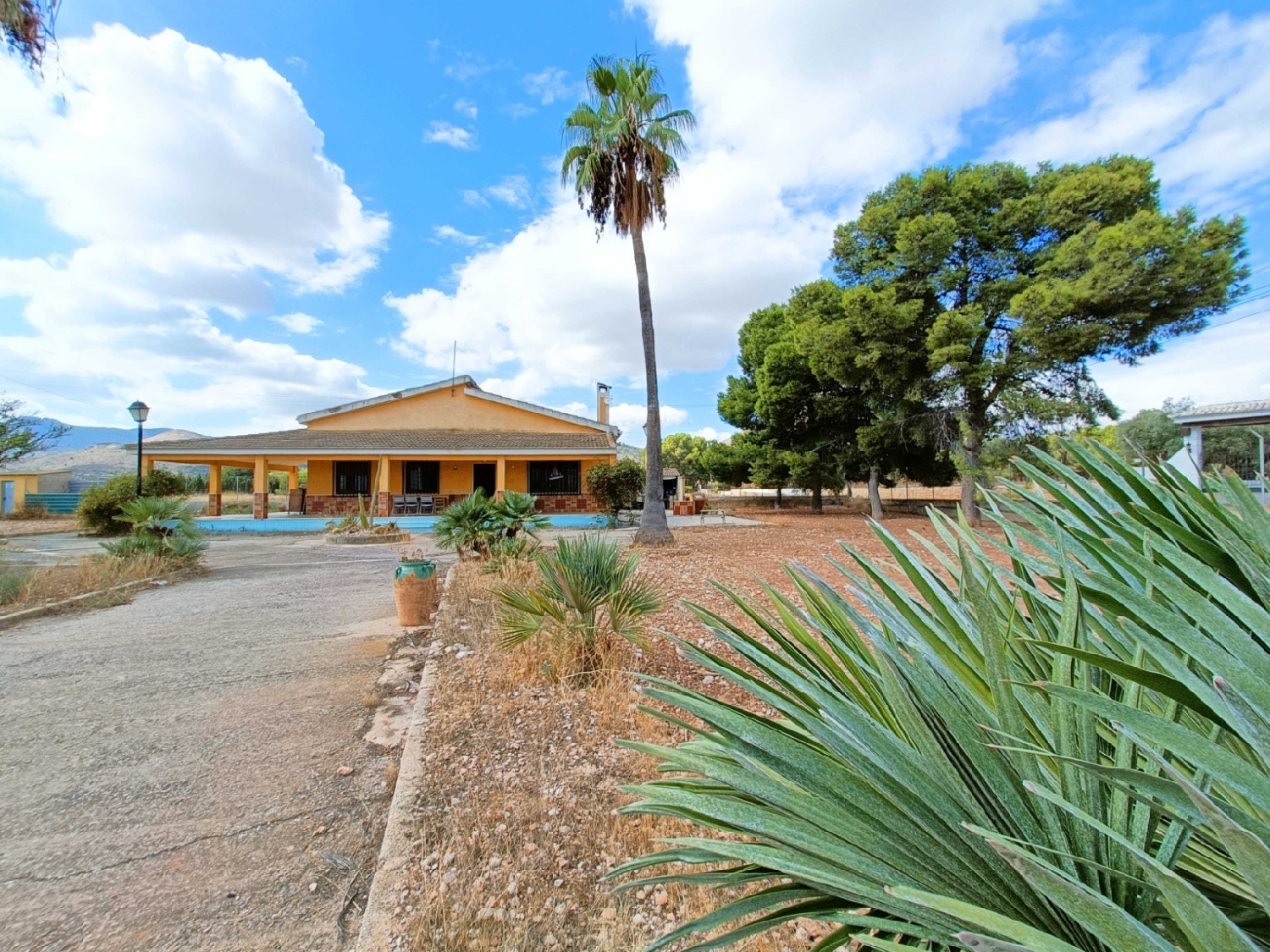  kaufen Villa San Vicente Del Raspeig Alacantí 2