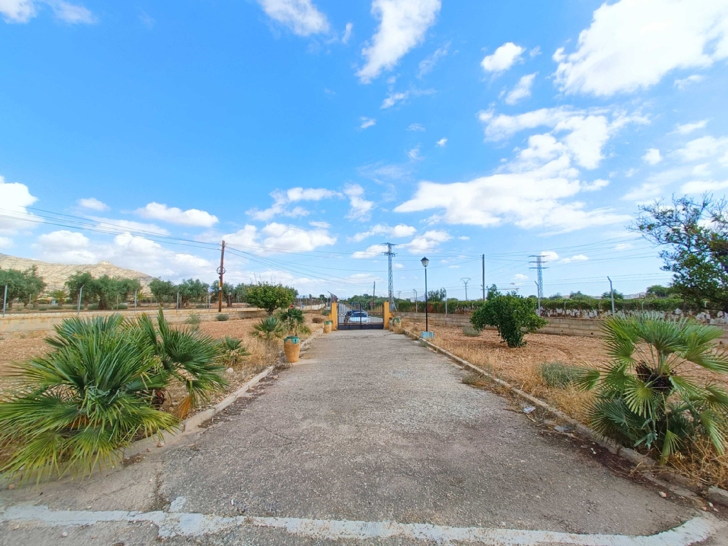  kaufen Villa San Vicente Del Raspeig Alacantí 23
