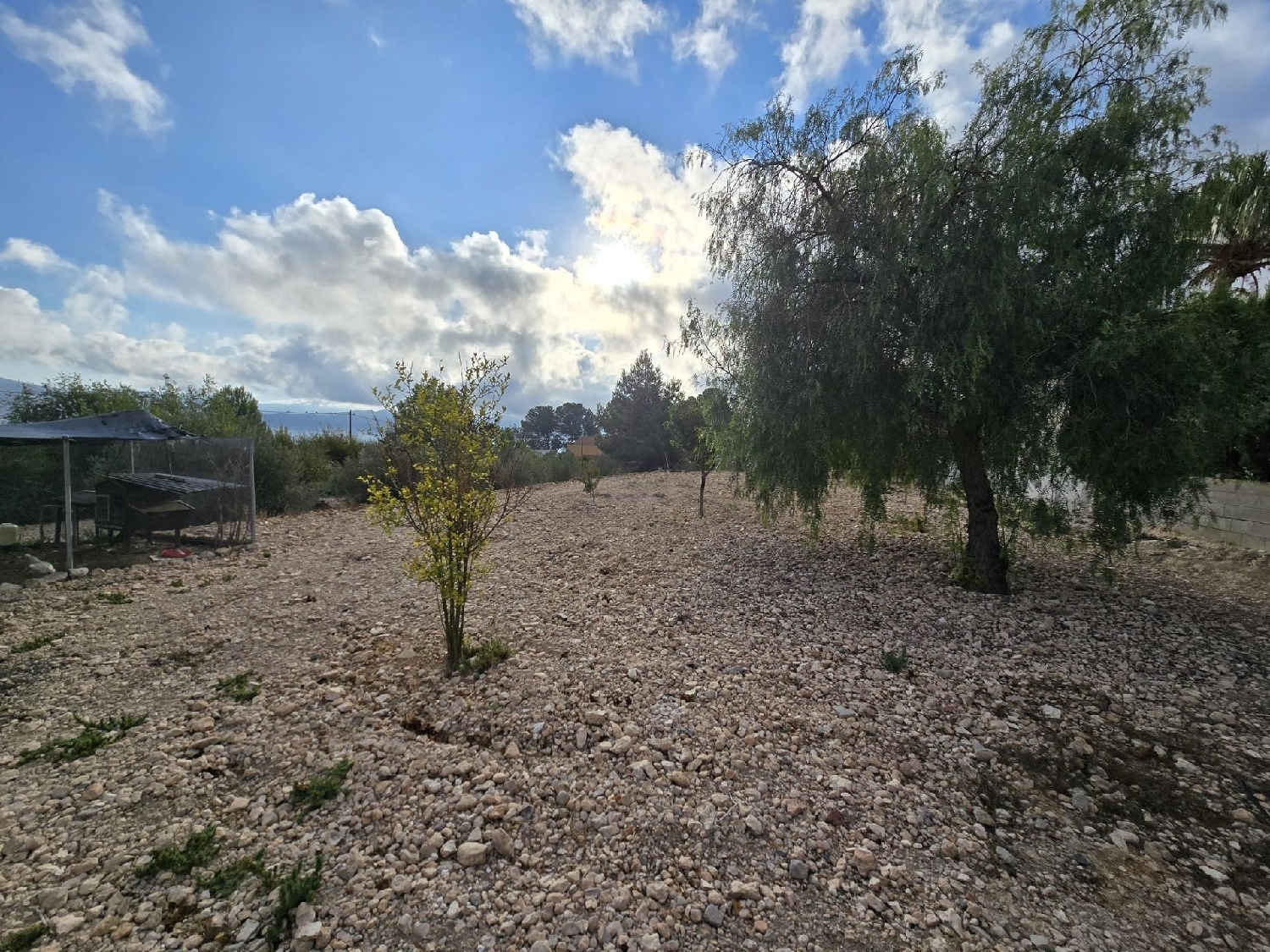  for sale villa Sax Alt Vinalopó 25