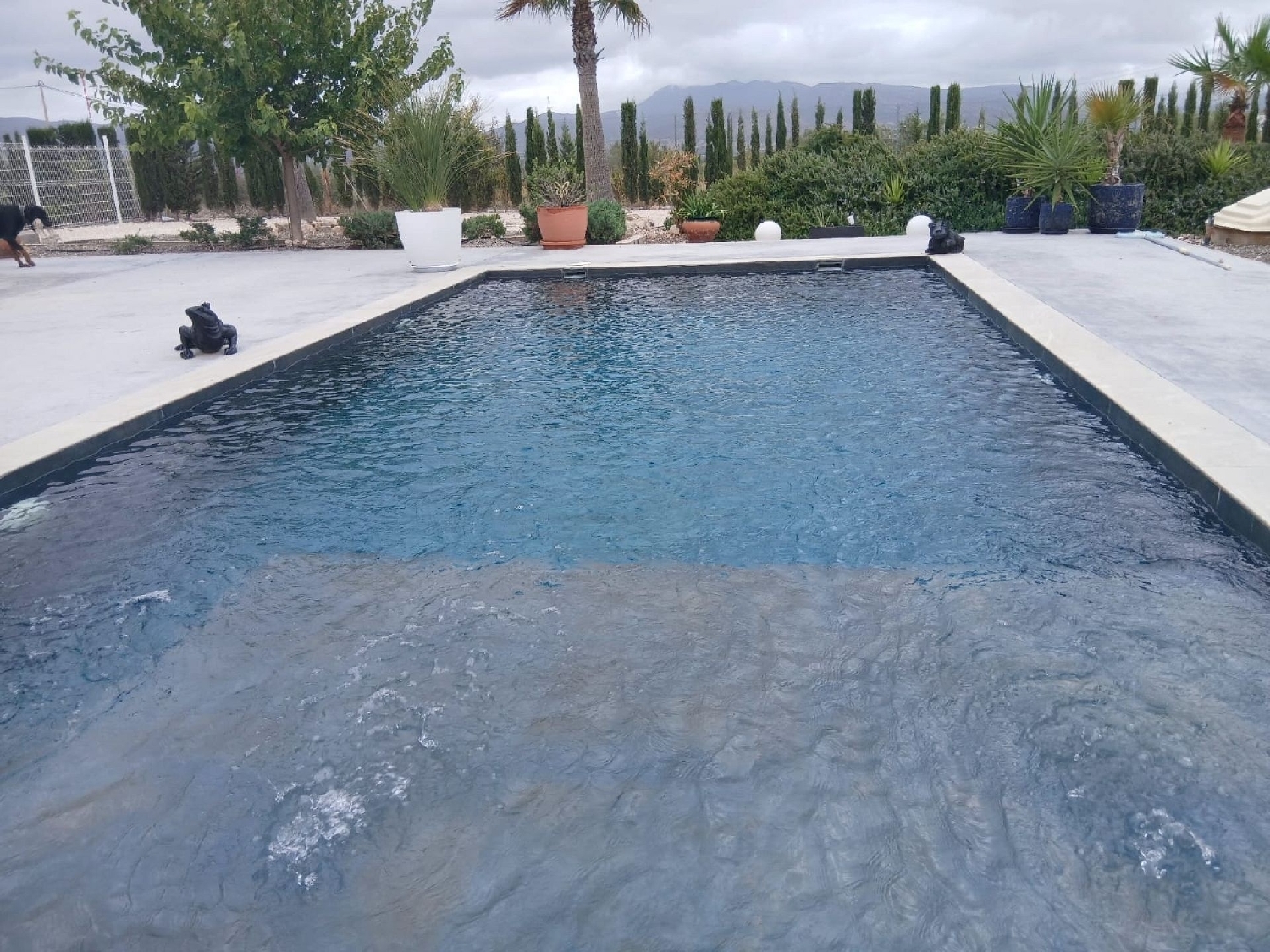  for sale villa Sax Alt Vinalopó 4