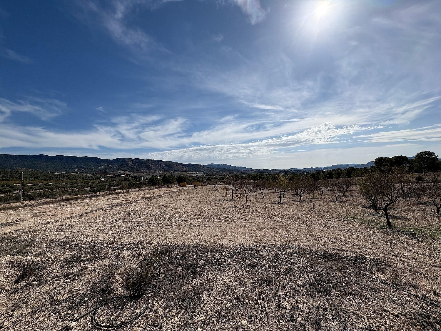 à vendre villa Sax Alt Vinalopó 8