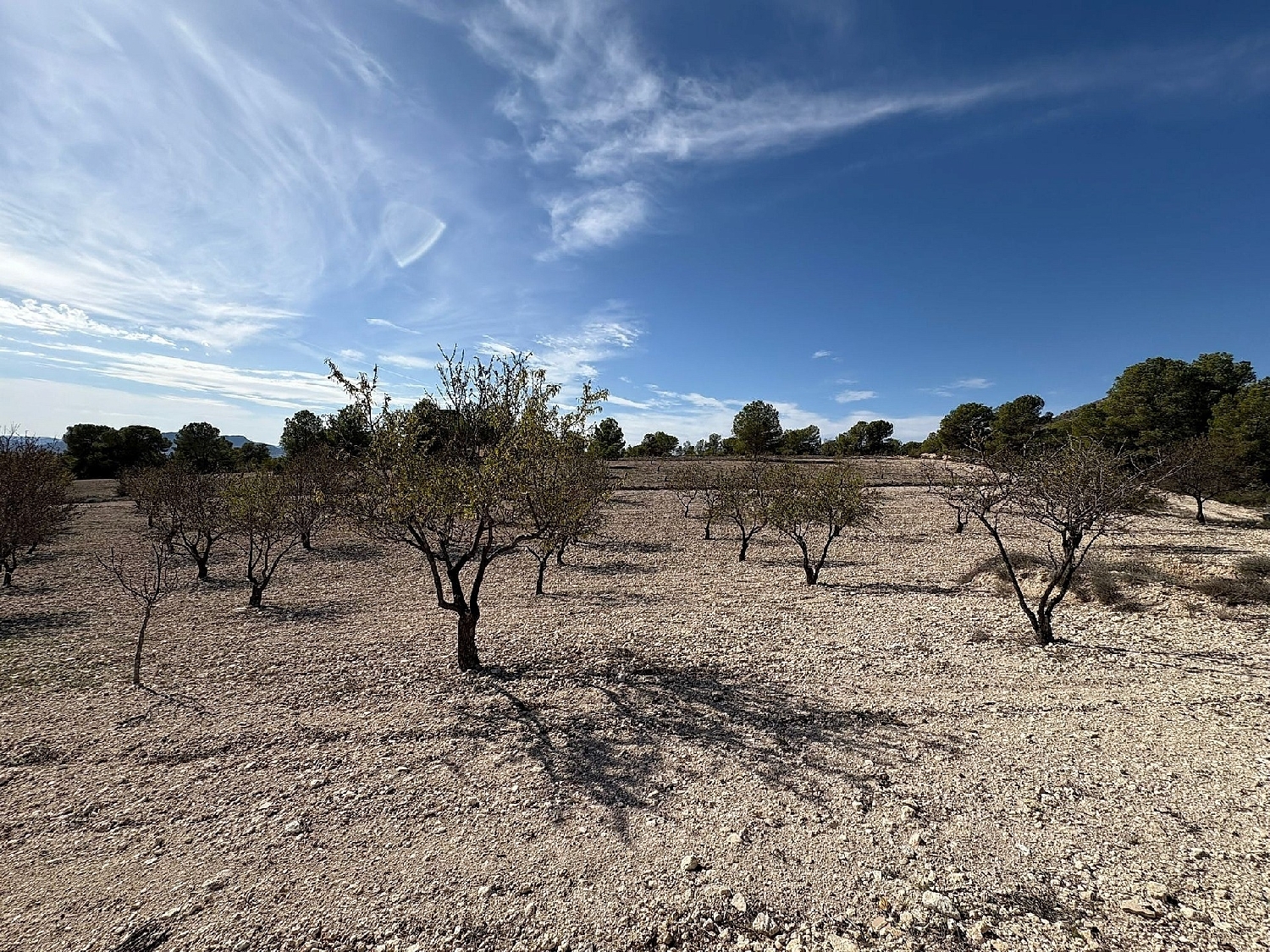 à vendre villa Sax Alt Vinalopó 9