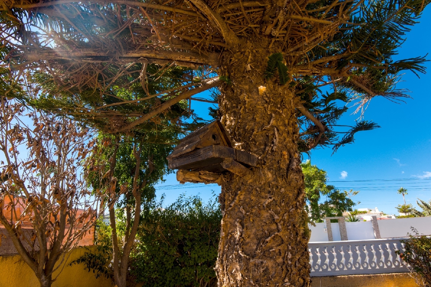  en venta chalet Torrevieja Baix Segura 8