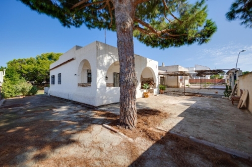 Torrevieja Baix Segura villa foto 6311506