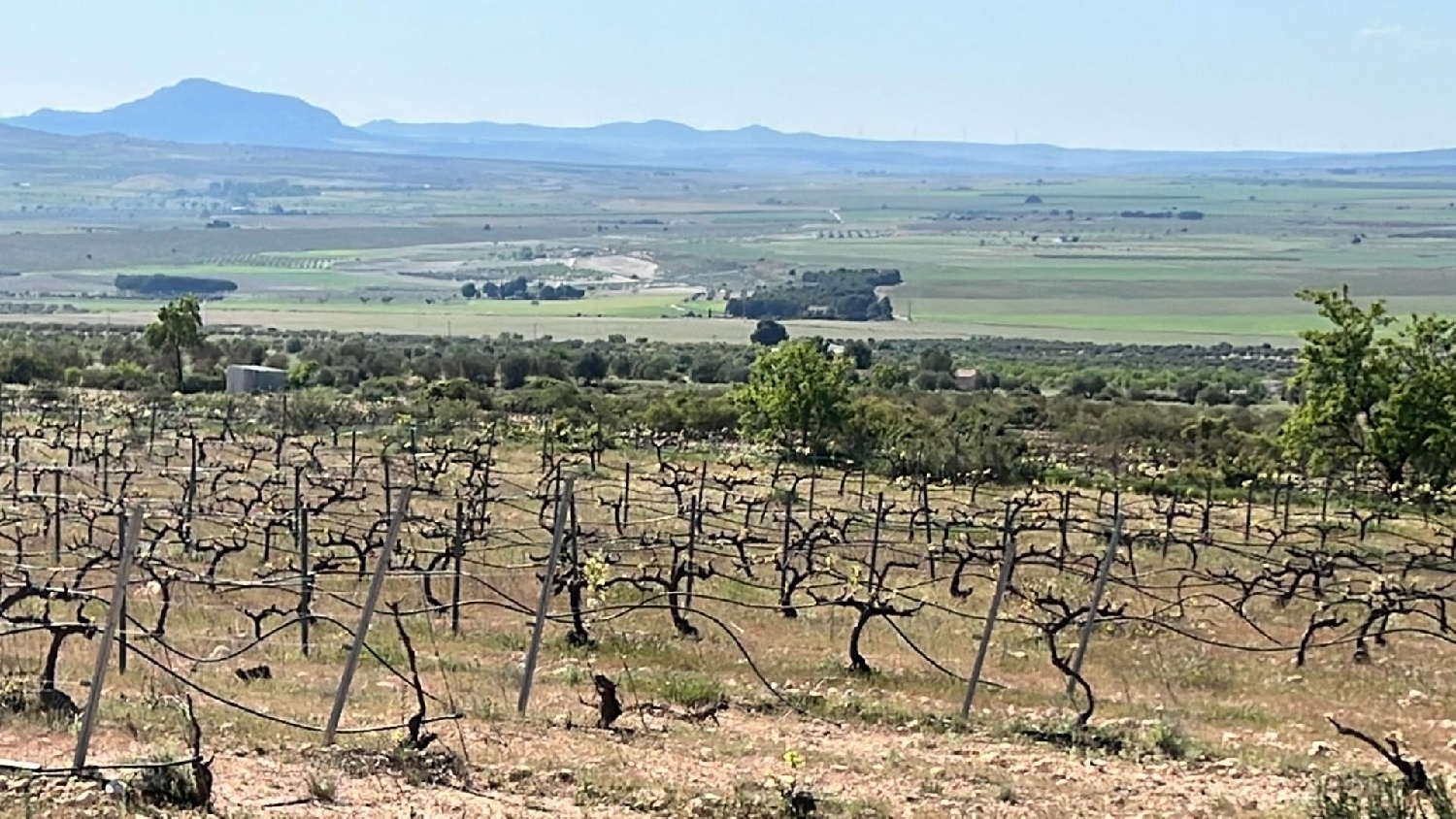  te koop villa Yecla Altiplano 34