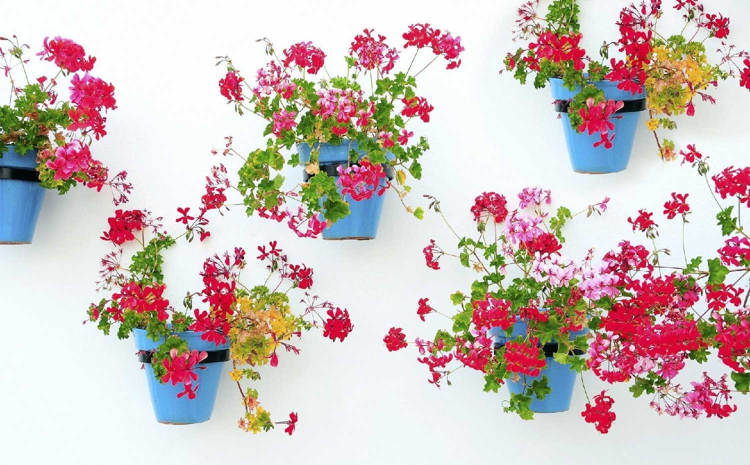  te koop appartement Campo-Mijas Costa Del Sol Occidental 7