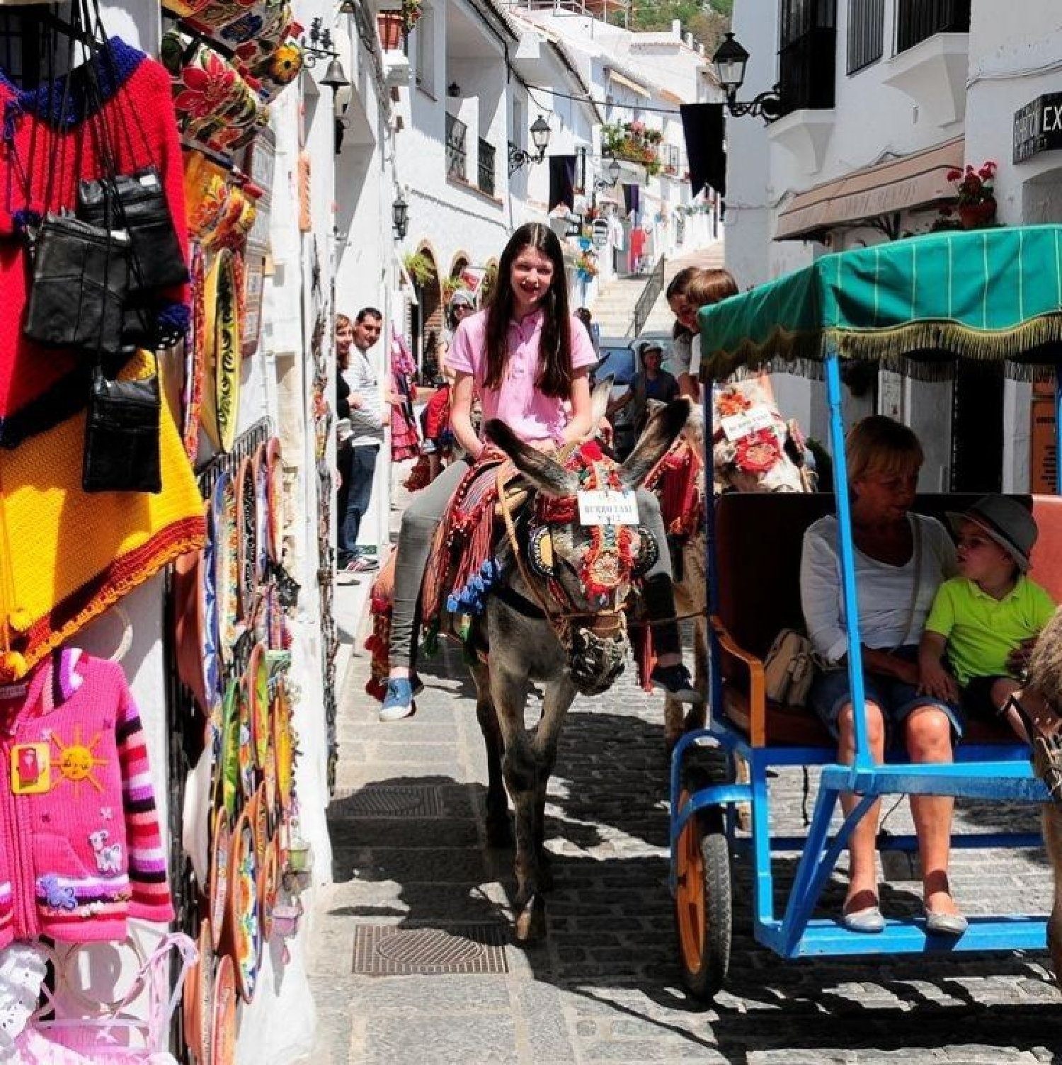  te koop appartement Campo-Mijas Costa Del Sol Occidental 10