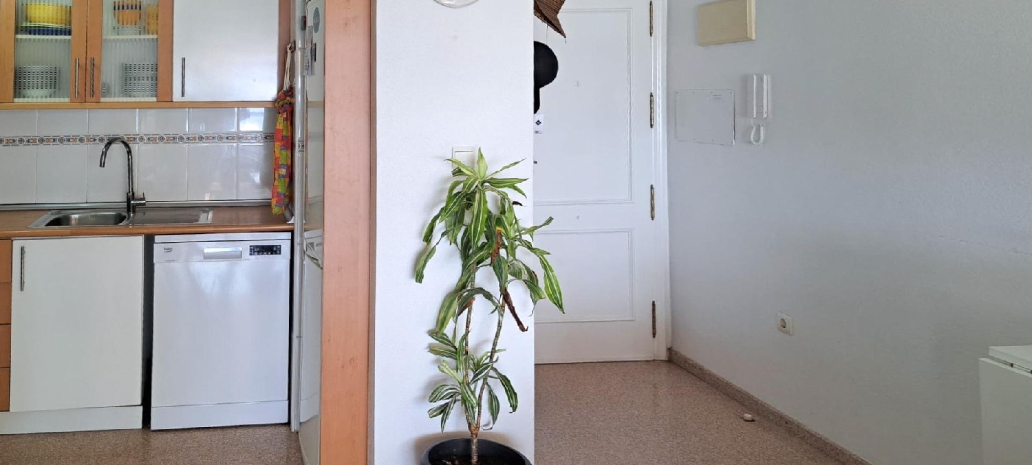  à vendre appartement El Campello Alacantí 6