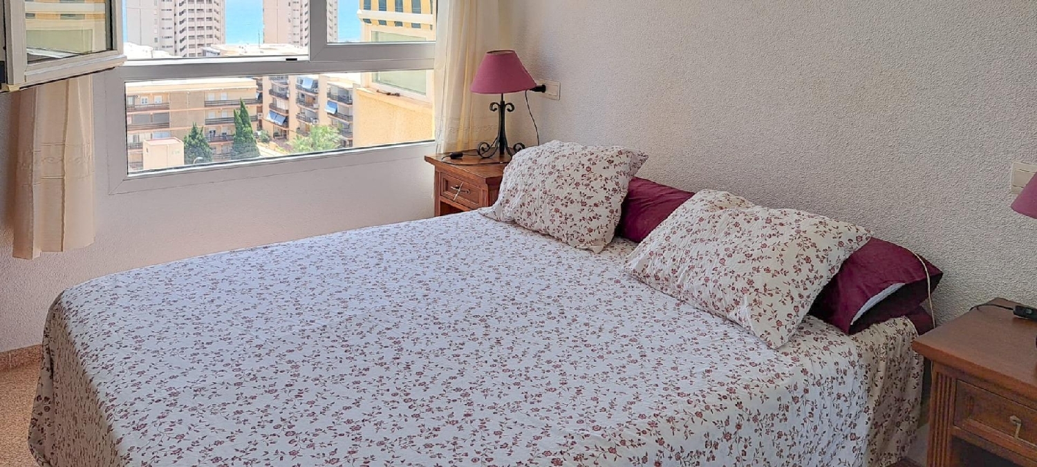  à vendre appartement El Campello Alacantí 8